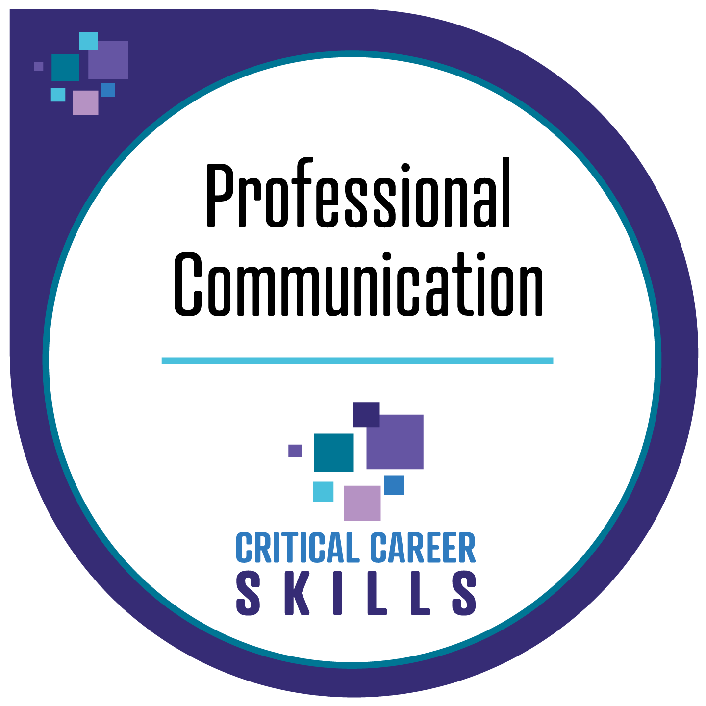 CCS - Professional Communication certificate